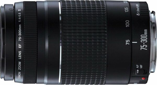 Canon Ef 75 300mm F 4 5 6 Iii Lens Review Gottapics